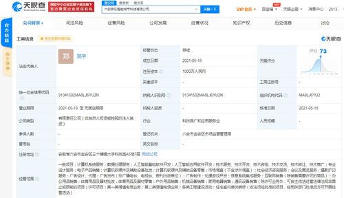 京東云計算拓展智能城市版圖，新設科技公司布局動漫游戲開發與系統集成
